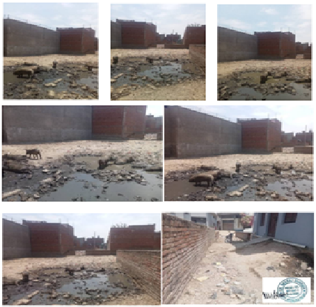 Afreen Parvez-07082401